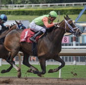 Today's Bet Tips Feature Image